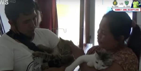 印度尼西亚夫妇举行派对庆祝宠物猫绝育(视频)