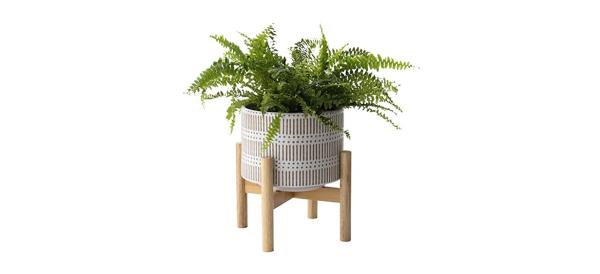 La Jolie Muse Ceramic Plant Pot with Wood Stand