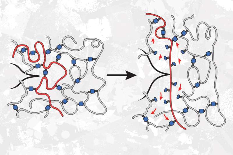 Surprise! Weaker bo<em></em>nds can make polymers stronger