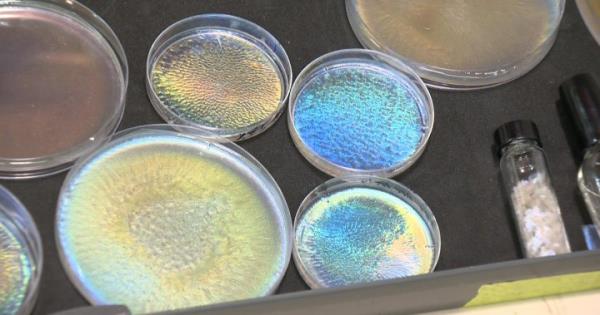 美国研究人员发明了可生物降解的闪光剂来处理微塑料