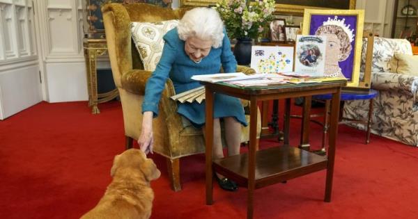现在，英国女王伊丽莎白二世心爱的宠物狗将何去何从-