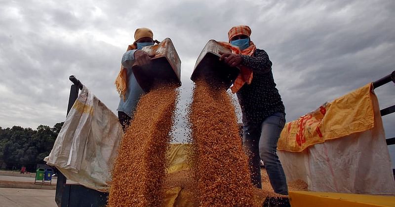 消息来源-印度可能取消40%的小麦进口关税，以冷却国内价格