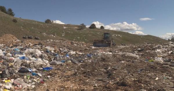 在卑诗省弗农垃圾填埋场的垃圾研究发现大量可堆肥材料被丢弃