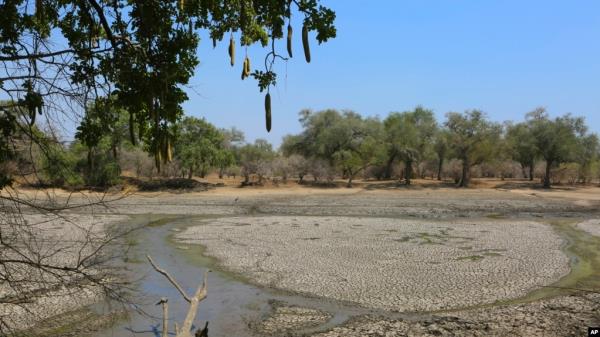 FILE - A sun baked pool that used to be a perennial water supply is seen in Mana Pools Natio<em></em>nal Park, Zimbabwe on Oct. 27, 2019. Malawi has declared a state of disaster over drought in 23 of its 28 districts.